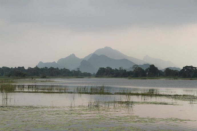 Imagen de los exteriores del Hotel Wewa Addara. Foto 13