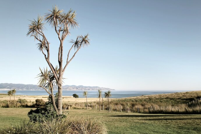 Imagen general del Hotel Wharekauhau Luxury Country Estate. Foto 16