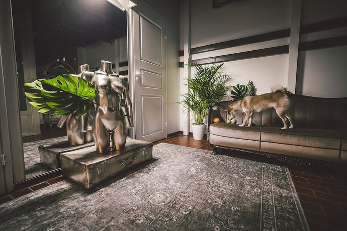 Imagen de los interiores del Hotel Wherever Boutique Hostel. Foto 19