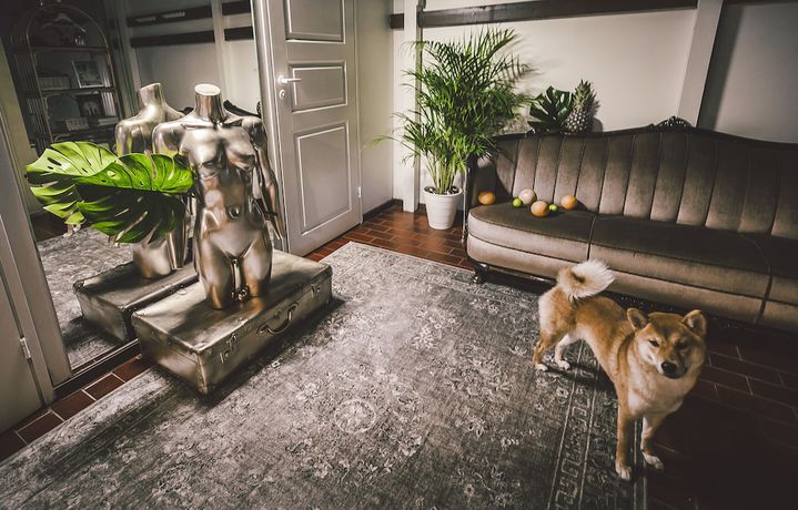 Imagen de los interiores del Hotel Wherever Boutique Hostel. Foto 20