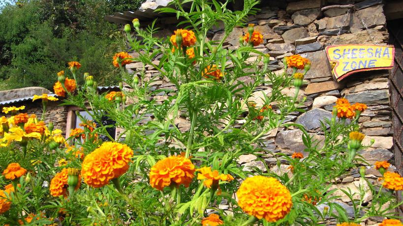Imagen de los interiores del Hotel Whispering Pines Himalayan Retreat. Foto 19