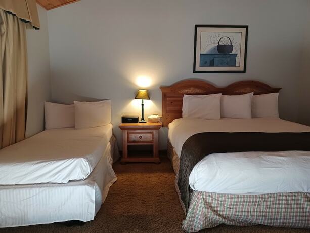 Imagen de la habitación del Hotel Whispering Pines Lodge. Foto 13