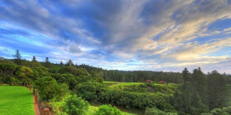 Imagen general del Hotel Whispering Pines Luxury Cottages. Foto 2