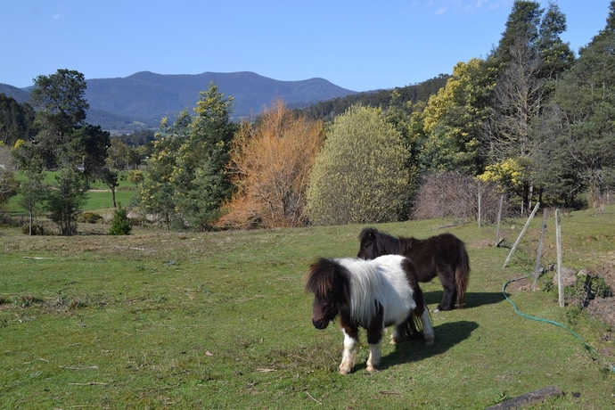 Imagen de los exteriores del Hotel Whispering Spirit Holiday Cottages. Foto 10