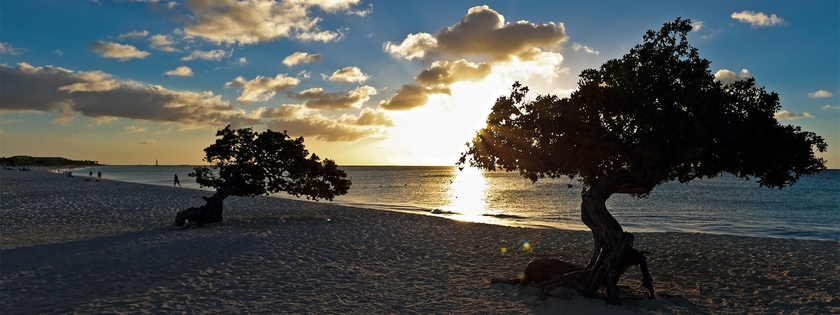 Imagen de los exteriores del Hotel White Beach Apartments - Palm Beach. Foto 4