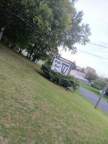 Imagen general del Hotel White Birch Inn. Foto 8