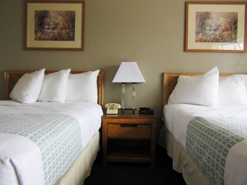 Imagen de la habitación del Hotel White Buffalo. Foto 7