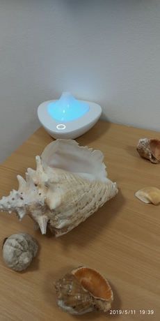 Imagen de los interiores del Hotel White Coral Club - Hostel. Foto 15