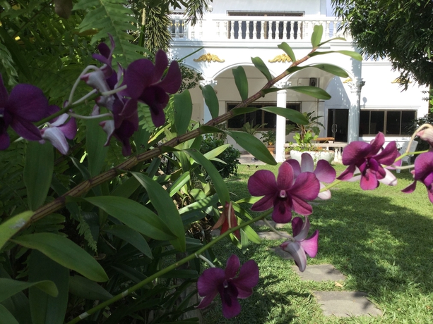 Imagen de los exteriores del Hotel White Elephant Resort. Foto 13