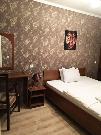 Imagen de la habitación del Hotel White Garden, San Petersburgo. Foto 17