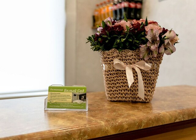 Imagen de los interiores del Hotel White Garden, San Petersburgo. Foto 39
