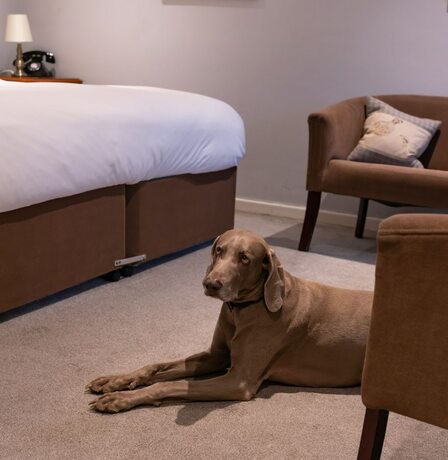 Imagen general del Hotel White Hart Inn. Foto 6