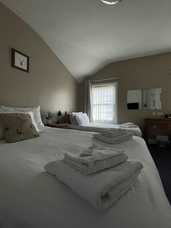 Imagen de la habitación del Hotel White Hart, Wiveliscombe. Foto 19