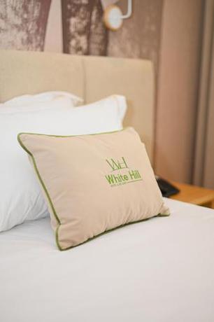Imagen general del Hotel White Hill. Foto 6