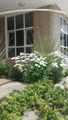 Imagen de la habitación del Hotel White House Addis. Foto 7