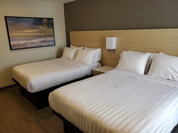 Imagen de la habitación del Hotel White Knight Motel. Foto 12