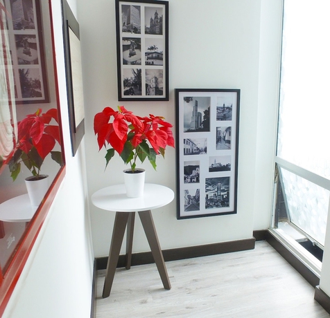 Imagen de los interiores del Hotel White Lighthouse, Bogot&aacute;. Foto 19