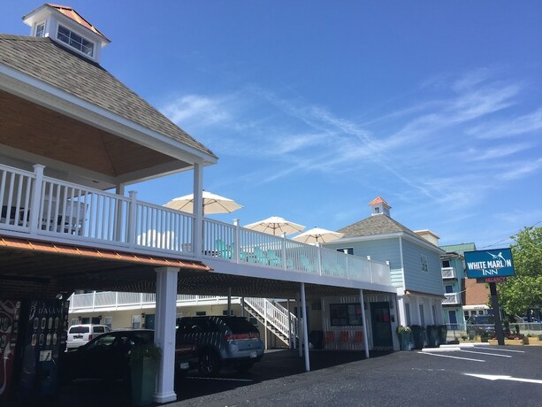 Imagen general del Hotel White Marlin Inn, Ocean City. Foto 9