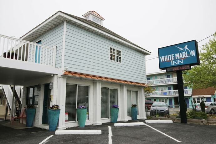 Imagen general del Hotel White Marlin Inn, Ocean City. Foto 13