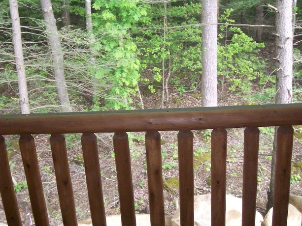 Imagen de la habitación del Hotel White Oak Lodge and Resort. Foto 4