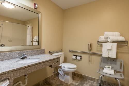 Imagen de la habitación del Hotel White Pine Inn & Suites. Foto 6