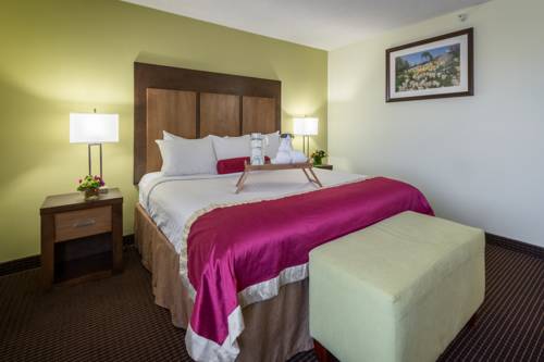 Imagen de la habitación del Hotel White Pine Inn & Suites. Foto 10