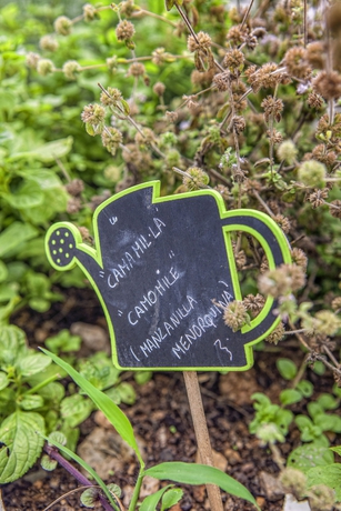 Imagen general del Hotel White Sands Beach Club. Foto 4