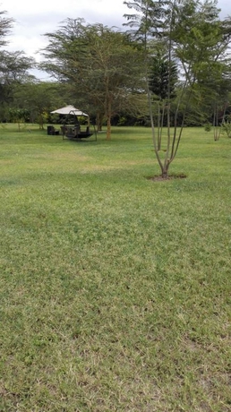 Imagen de los exteriores del Hotel White Thorn Cottages. Foto 9