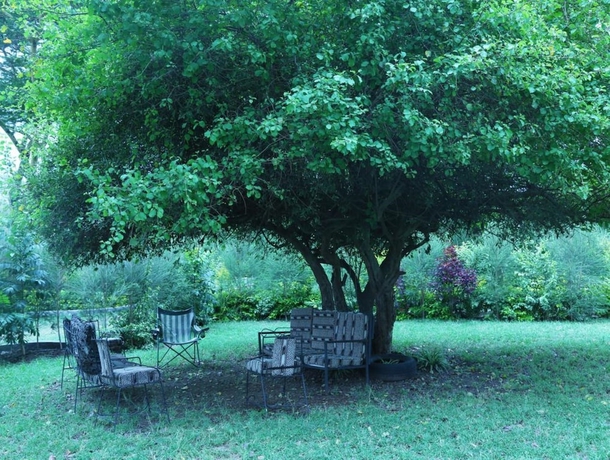 Imagen de los exteriores del Hotel White Thorn Cottages. Foto 10