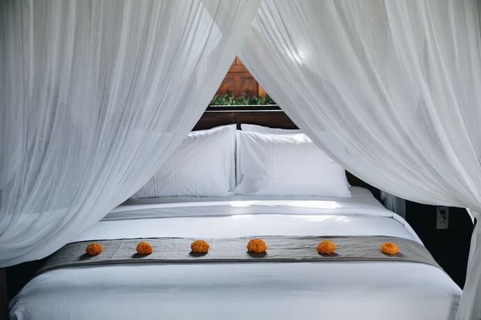 Imagen general del Hotel White Tortoise Eco Villa's. Foto 7