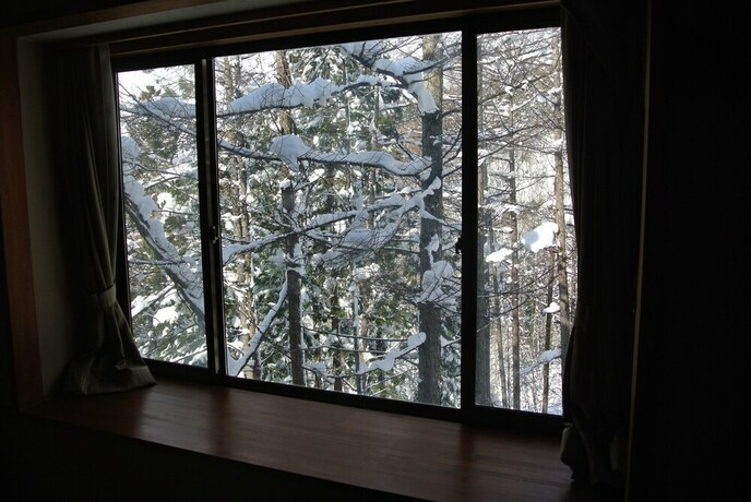 Imagen de la habitación del Hotel White Tree Lodge. Foto 25