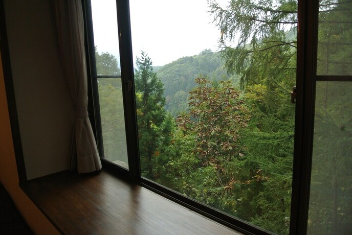 Imagen de la habitación del Hotel White Tree Lodge. Foto 32