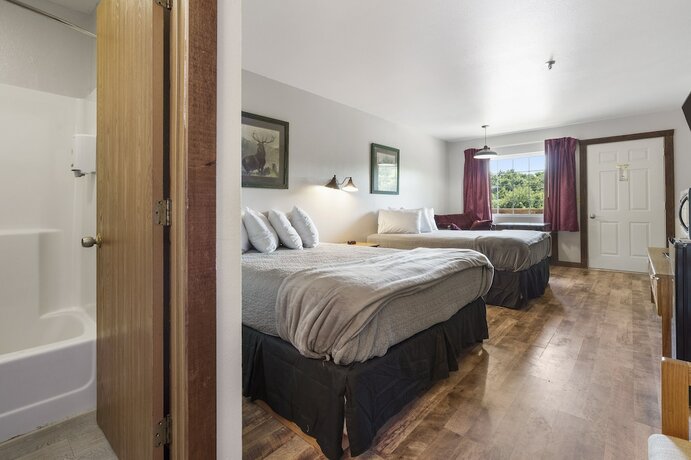 Imagen de la habitación del Hotel White Wing Lodge. Foto 17