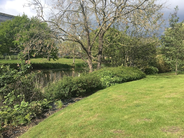 Imagen general del Hotel Whitehouse Holiday Lettings. Foto 4