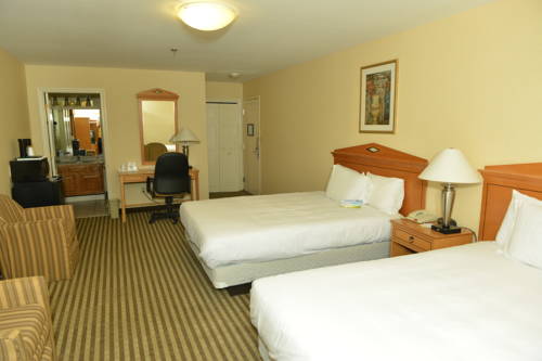 Imagen de la habitación del Hotel Whitney Inn and Suites. Foto 10