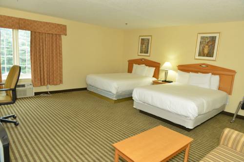 Imagen de la habitación del Hotel Whitney Inn and Suites. Foto 16
