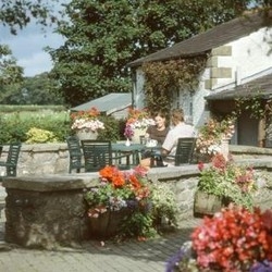 Imagen de la piscina del Hotel Whoop Hall and Leisure. Foto 8