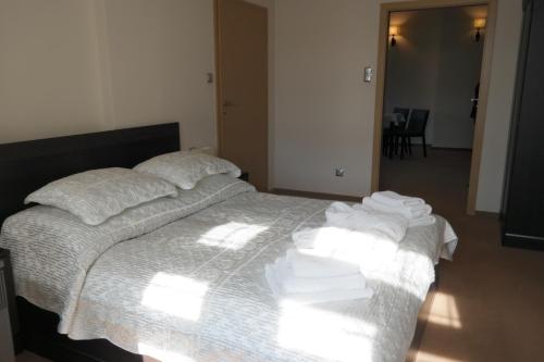 Imagen de la habitación del Hotel Wielka Pieniawa. Foto 7