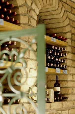 Imagen de los interiores del Hotel Wienerwaldhof. Foto 12