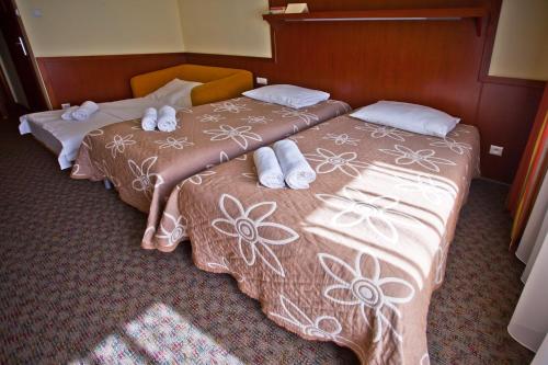Imagen de la habitación del Hotel Wierchomla Ski & Spa Resort. Foto 8