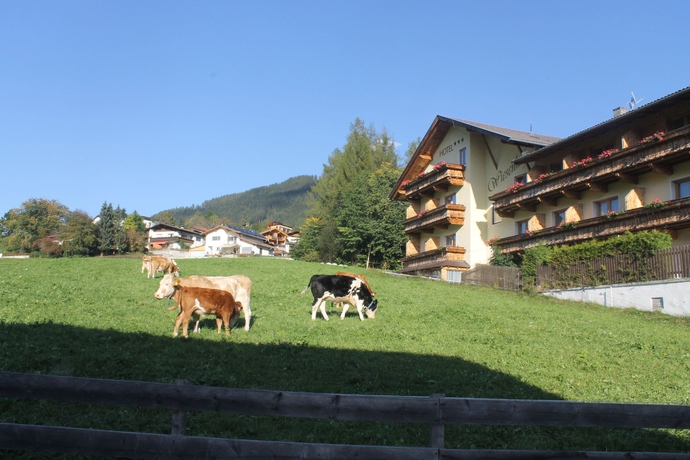 Imagen de los exteriores del Hotel Wiesenhof, Mieders . Foto 11