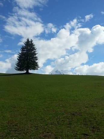 Imagen de la habitación del Hotel Wieser. Foto 8