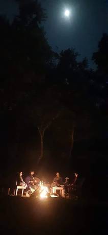 Imagen general del Hotel Wild Brook Retreat. Foto 2