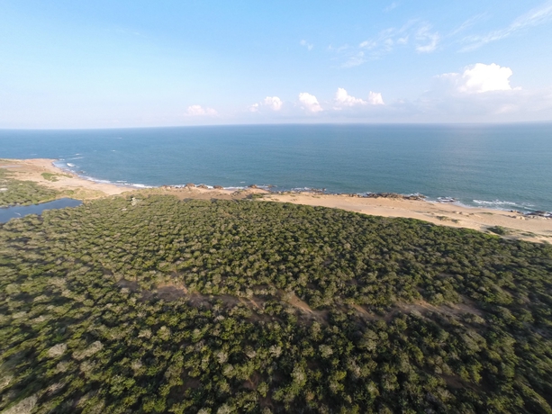 Imagen general del Hotel Wild Coast Tented Lodge. Foto 1