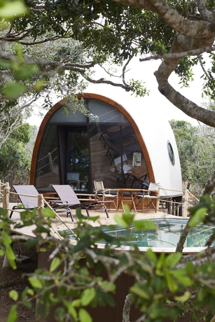 Imagen de los exteriores del Hotel Wild Coast Tented Lodge. Foto 8