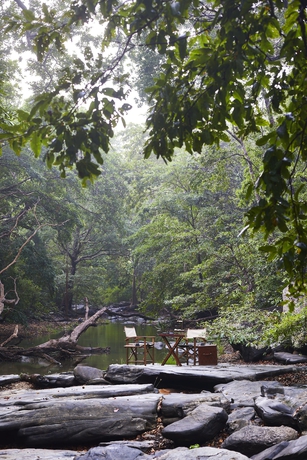 Imagen de los exteriores del Hotel Wild Coast Tented Lodge. Foto 11