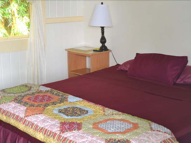 Imagen de la habitación del Hotel Wild Ginger. Foto 3