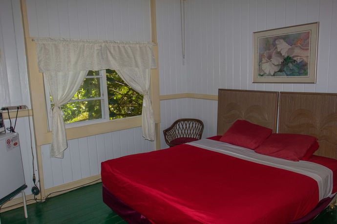 Imagen de la habitación del Hotel Wild Ginger. Foto 15