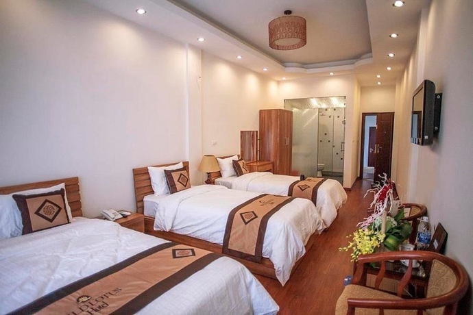 Imagen de la habitación del Hotel Wild Lotus - Hang Be. Foto 10