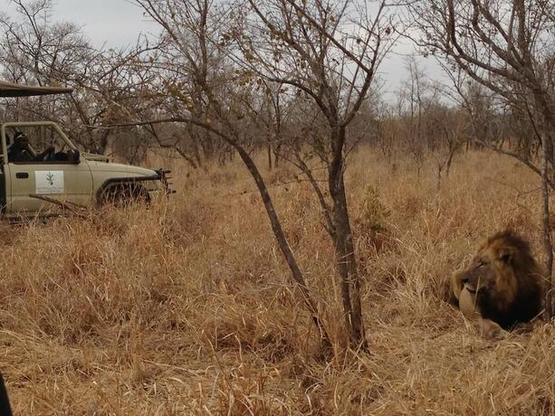 Imagen general del Hotel Wild Olive Tree Camp. Foto 3